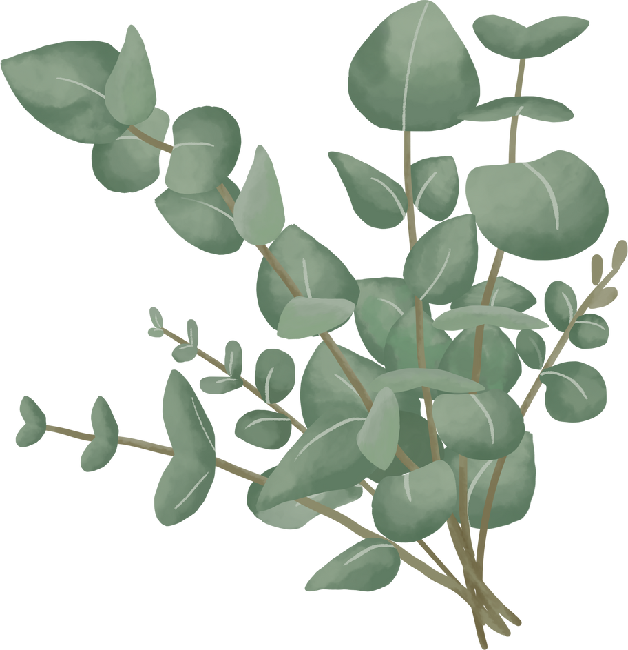 Watercolor Eucalyptus Plant